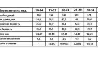 Шийка матки при вагітності — нормальний розмір, консистенція, причини відхилень, методи терапії