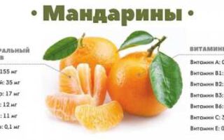 10 корисних властивостей мандаринів для краси і здоров’я людини