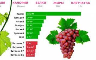 8 корисних властивостей винограду для краси, здоров’я та довголіття