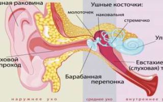 Приглухуватість гостра і хронічна — ознаки, діагностика і як лікувати