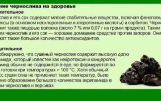 5 шкідливих властивостей чорносливу і протипоказання до вживання