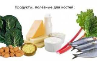 Харчування при переломах кісток рук для швидкого зрощення — корисні продукти